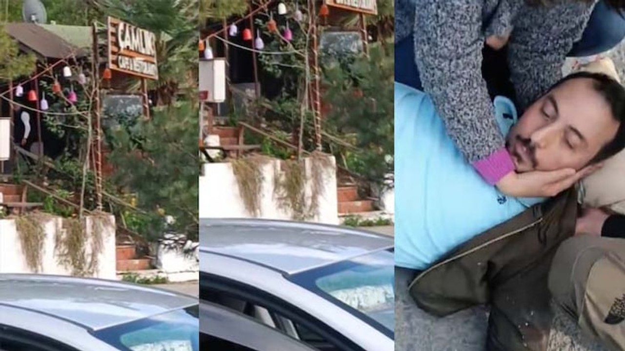 İstanbul'da pitbull dehşeti