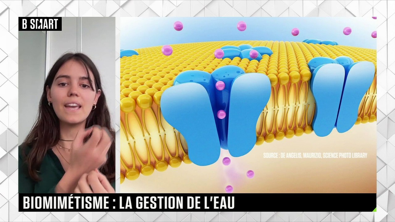 SMART TECH - Améliorer notre gestion de l’eau grâce au biomimétisme