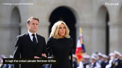 Emmanuel et Brigitte Macron : deux nouveaux et adorables membres rejoignent Nemo, les prénoms dévoilés