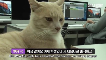 Story of How Cat That Near Death Became a College Student