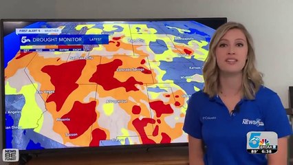 Best Funny Cats Work From Home News Bloopers