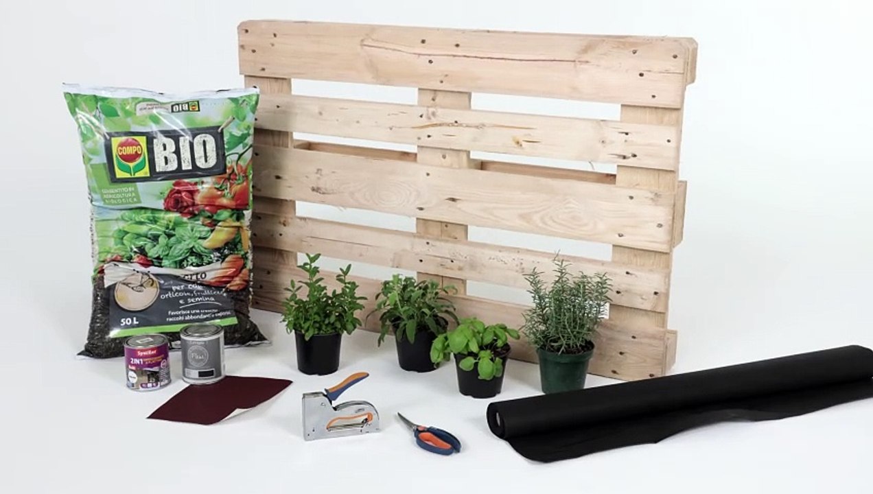 Orto sul balcone con lautunno e festa di ortaggi e piante aromatiche