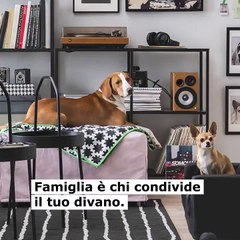 spot ikea polemica congresso famiglia