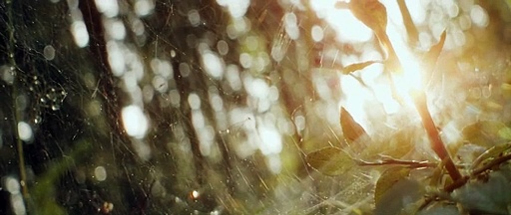 Medusa's Venom - Tödliche Verführung Trailer DF