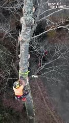 Timber... Oh Wait, Nevermind! Tree Trimming Gone WRONG