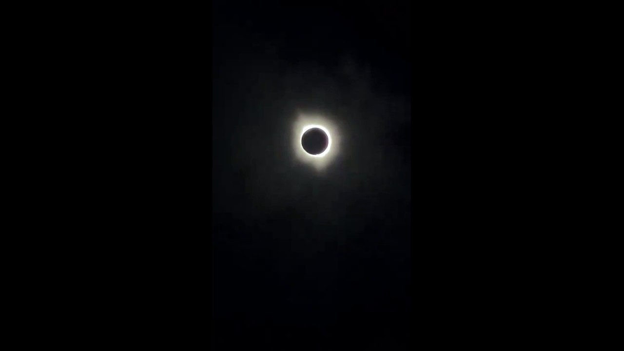 Total solar eclipse 2024: Spectacular footage as it happened