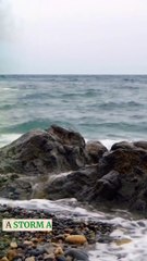 Storm Insurance Protect Your Property from Disaster