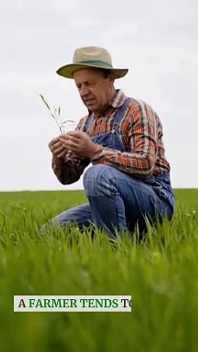 Long-Term Care Insurance Planning for Your Future Care