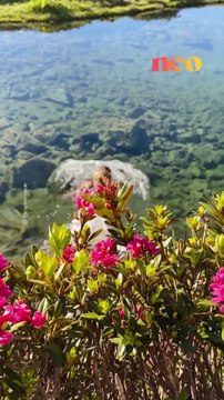 Quelque part en France : la beauté du lac du Lauzon dans les Hautes-Alpes. : @captivmonde