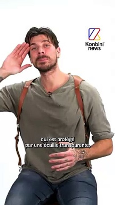 C'est pas un serpent le Basilic dans Harry Potter ?