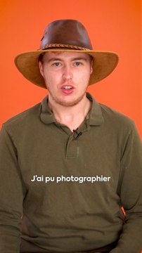 Photographe animalier, Mathieu Latour immortalise des espèces en voie de disparition pour sensibiliser à la cause animale.