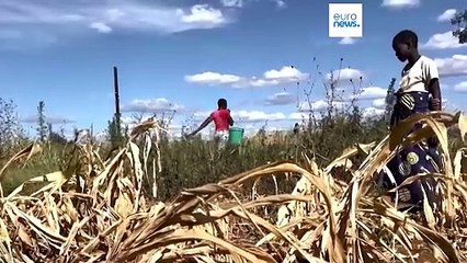 Март 2024-го стал самым жарким за всю историю наблюдений
