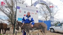 Araç arkasında bağlanarak sürüklenen eşek, tedavisi sonrası 'emekli' edildi