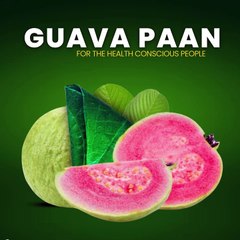 Paan Franchise in India - Paanking