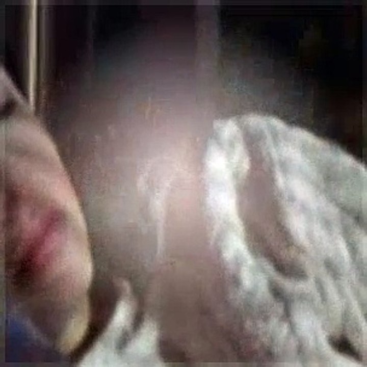 Are You Afraid Of The Dark Season 6 Episode 12 The Tale Of The Secret Admirer