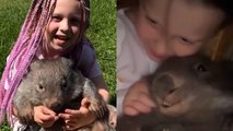 Meet the four-year-old 'wombat whisperer' who's best friends with the marsupials