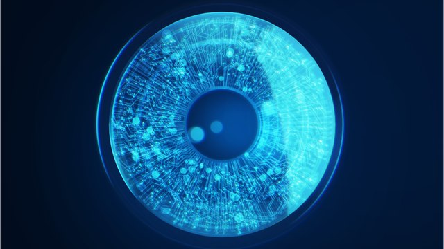 Menschliche Wahrnehmung: Forscher enthüllen seltenes Phänomen