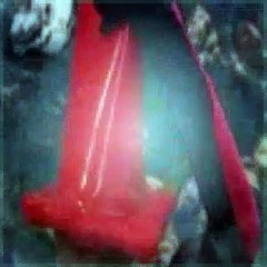 Lab Rats Season 2 Episode 6 Bro Down