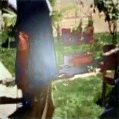 The Dog Whisperer Season 1 Episode 17 Caper And Julius (Petrified Pit Bull Part 2)