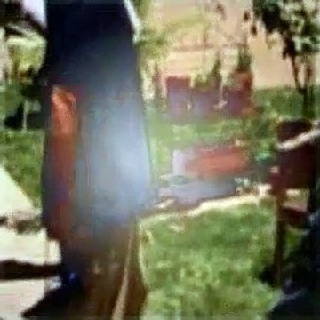 The Dog Whisperer Season 1 Episode 17 Caper And Julius (Petrified Pit Bull Part 2)
