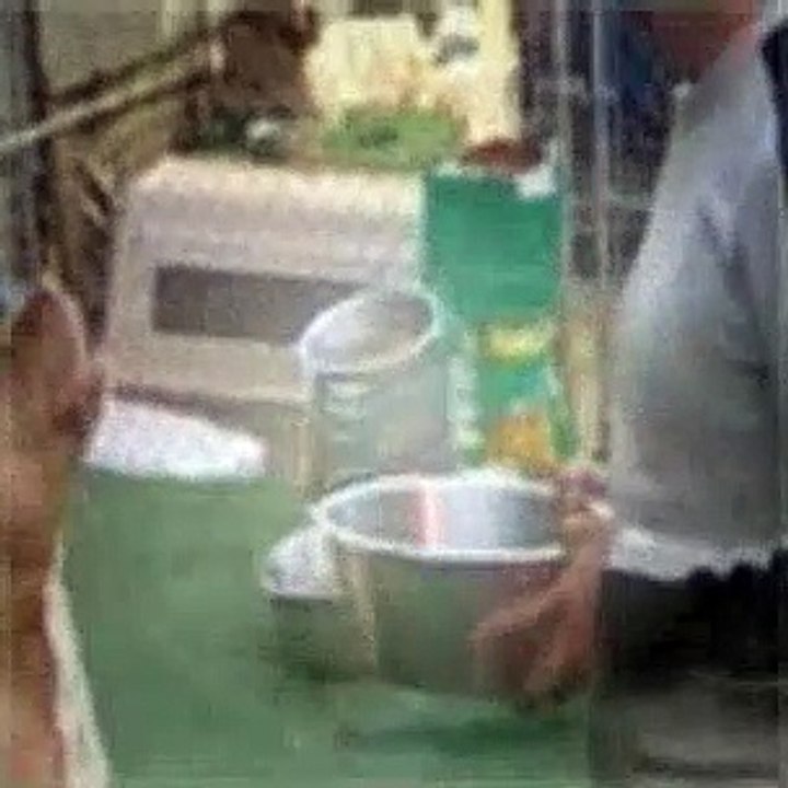 The Dog Whisperer Season 1 Episode 18 Bella And Jordan (Time Bomb! Part 2)