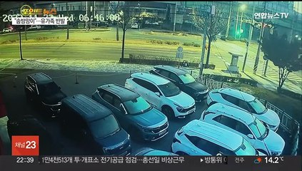[포인트뉴스] 진주 편의점 숏컷 알바생 폭행한 20대 남성 징역3년 外