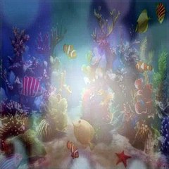 Dora The Explorer S08E04 Verdes Birthday Party