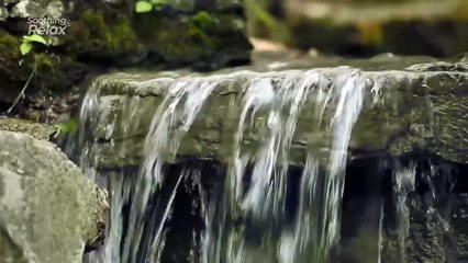 ASMR Sound - Relaxing Music for Stress Relief - Piano with Water Sounds - Gomungga
