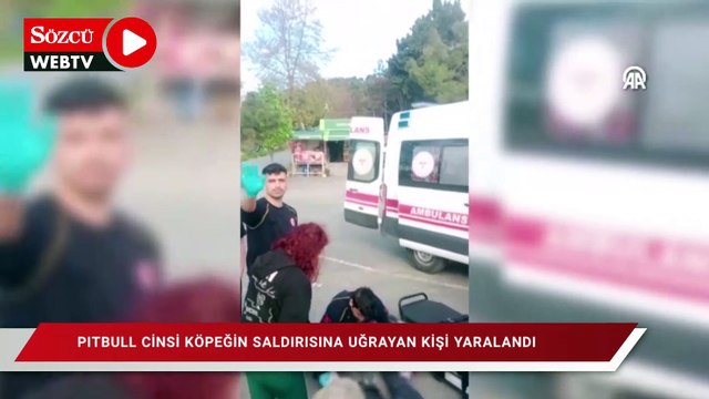 Beylikdüzü'nde pitbull cinsi köpeğin saldırısına uğrayan kişi yaralandı