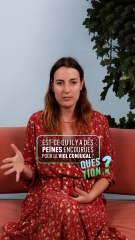 Question - Est-ce qu'il y a des peines encourues pour le viol conjugal ?