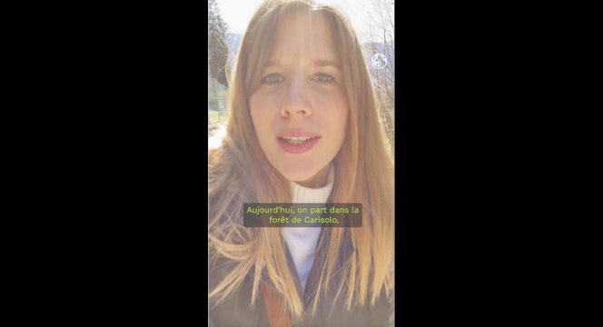 Cueillette des plantes : ce qu'il faut savoir sur les comestibles et les toxiques