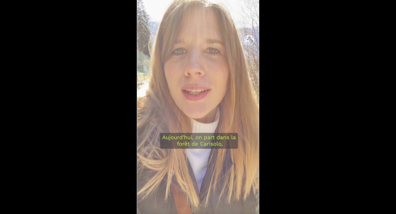 Cueillette des plantes : ce qu'il faut savoir sur les comestibles et les toxiques