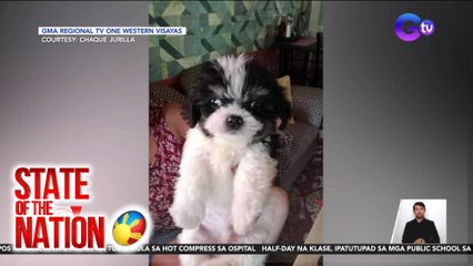 State of the Nation Part 3: Shih Tzu, iniligtas ang pamilya mula sa ahas