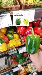 Astuces et Offres Quotidiennes pour Économiser Facilement 💡