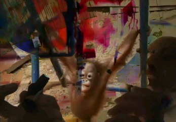 Folie Divine: Un Voyage Spirituel