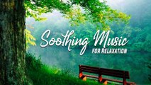 Soothing Music for Relaxation ~ Chill-Out Calming music