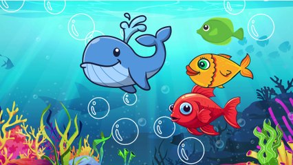 'Ocean Life' Educational Animation for Kids ! Let's Learn Colors and Some Species.
