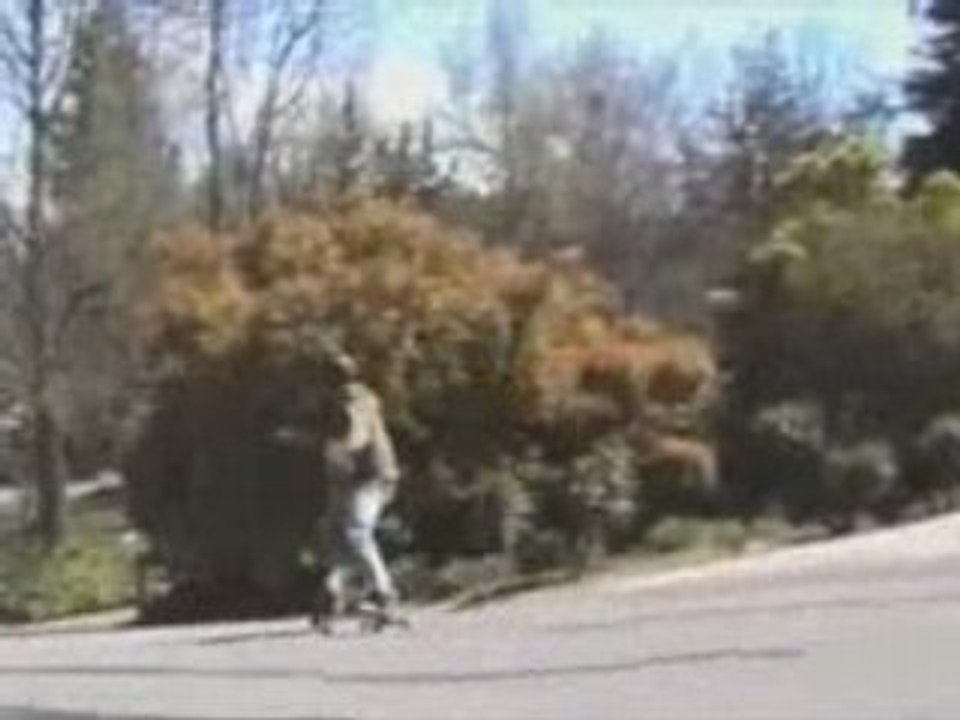 Freebord Testify