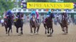 Preakness Stays At Pimlico, Securing Maryland Horse Racing