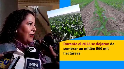 Durante el 2023 se dejaron de sembrar un millón 500 mil hectáreas