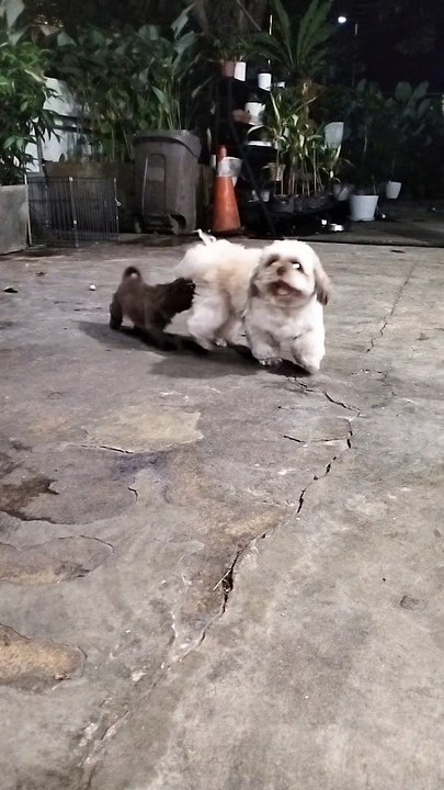 makulit si choco