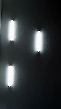 سورة الزمر من صلاة التراويح