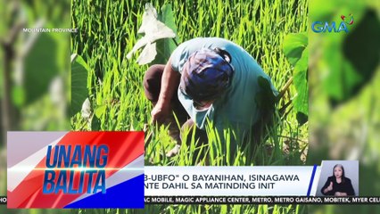 Tradisyong "Ub-ubfo" o bayanihan, isinagawa ng mga residente dahil sa matinding init | UB