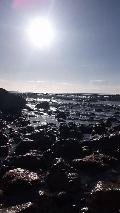 Sea 