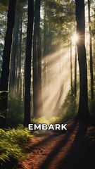 The Eagentci Sky Goddess: A Spiritual Journey Through Nature