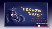 TEX AVERY MGM CARTOON_ Doggone Tired (1949) (HD 1080p)