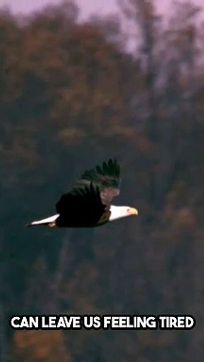 Isaiah 40:31 Bible Famous Quote and Bible Verse