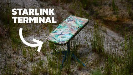 A report says Starlink terminals are being used in Russia after Putin and Musk deny it