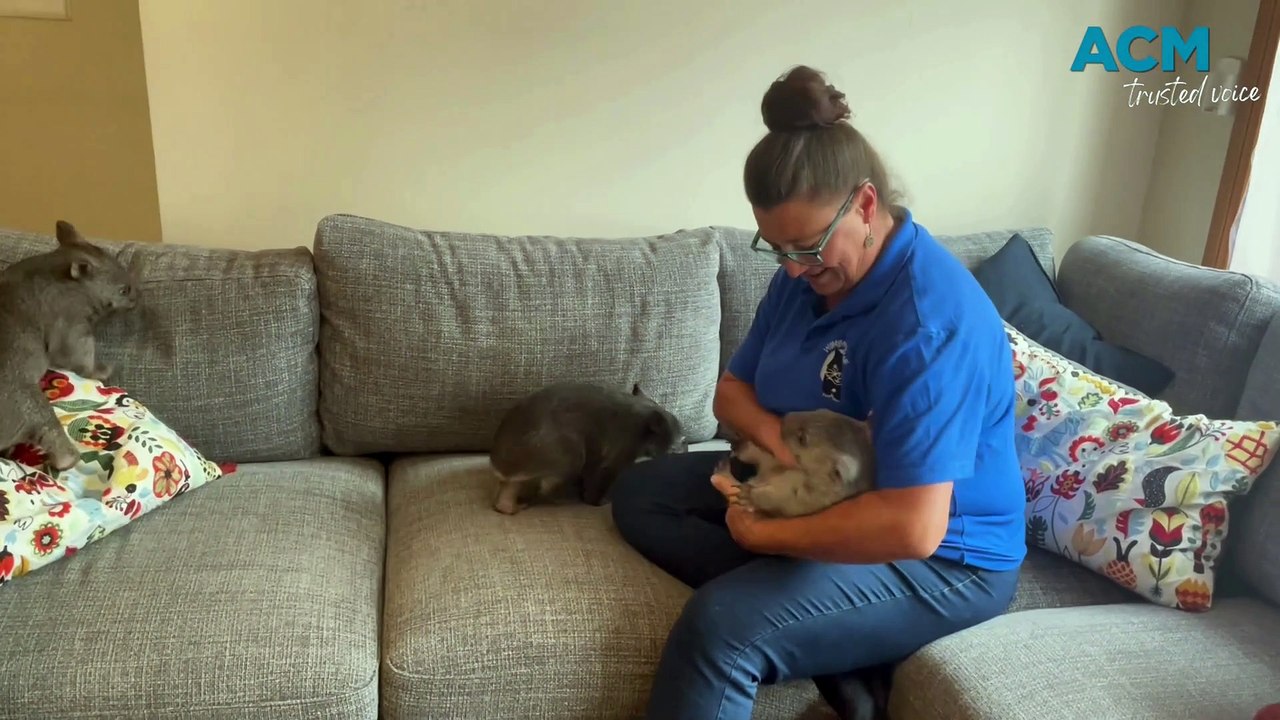 Wombat housing