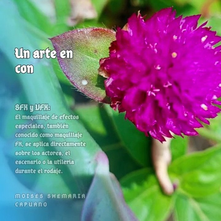Moises Shemaria Capuano | Un Arte en Constante (Parte 1) (Creado por @MoisesShemariaCapuano)